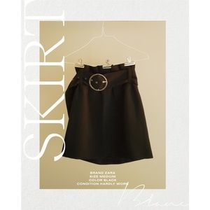 ZARA skirt